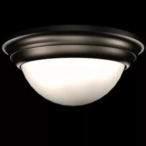 Flush Mount Home Ceiling Light Fixture 3d model