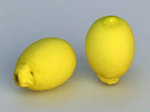 Food Fresh Lemon 3d model Food Fresh Lemon 3d model