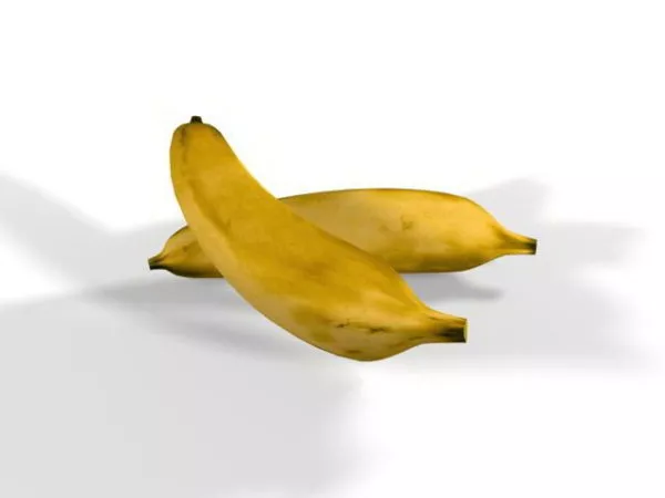 Cavendish Banana 3d model
