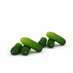 Fresh Cucumber Vegetables 3d model