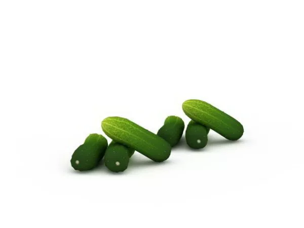 White Radish Carrot 3d model