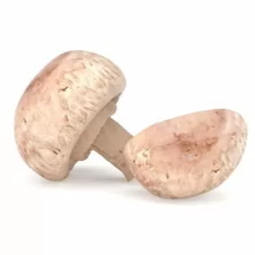 Nature Fresh Mushroom 3d model