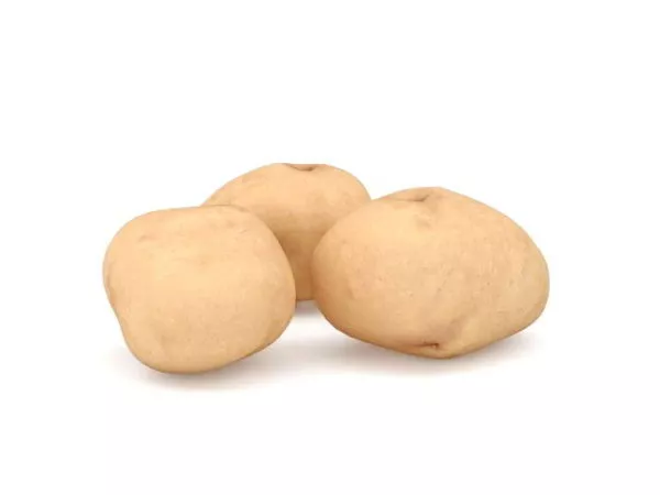 Potatoes Stack 3d model