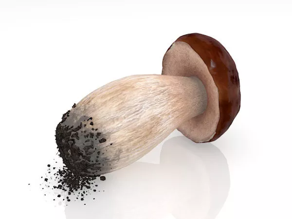Colorful Cartoon Mushroom 3d model
