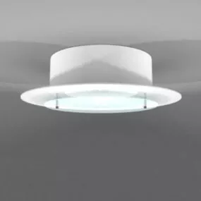 Frosted Glass Home Ceiling Light 3d model