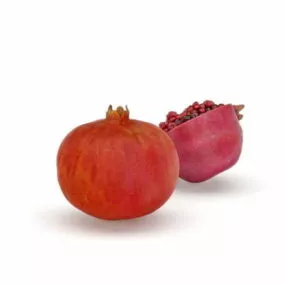Punica Granatum Fruits 3d model