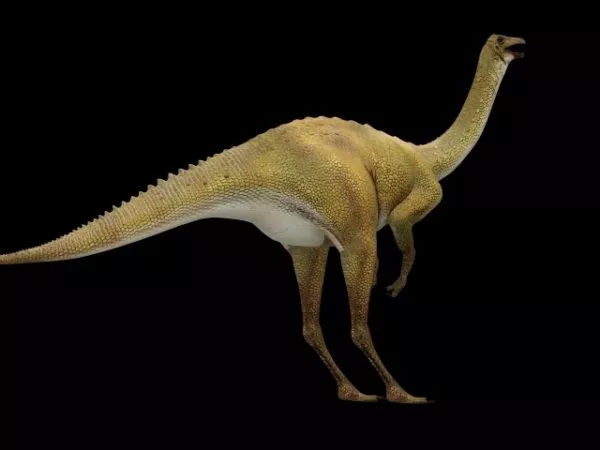 Liopleurodon Dinosaur 3d model