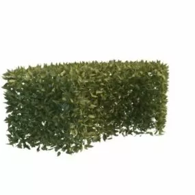 Garden Decoration Curved Hedge 3d model