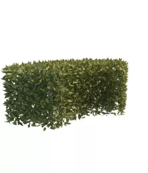 Garden Decoration Curved Hedge 3d model Garden Decoration Curved Hedge 3d model