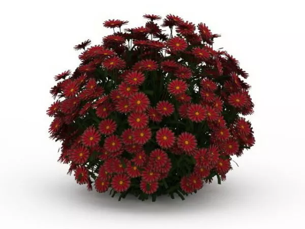 Garden Red Flower Ball 3d model Garden Red Flower Ball 3d model