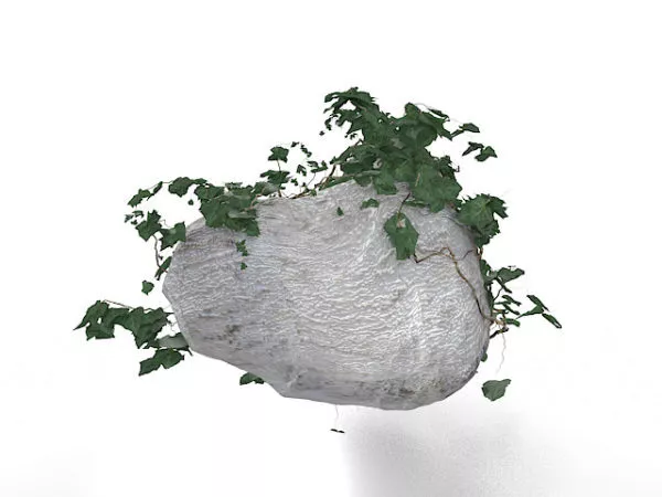 Black Rock 3d model
