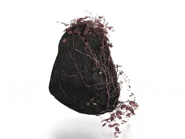 Rock Meteor 3d model