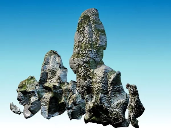 Moss Stone 3d model