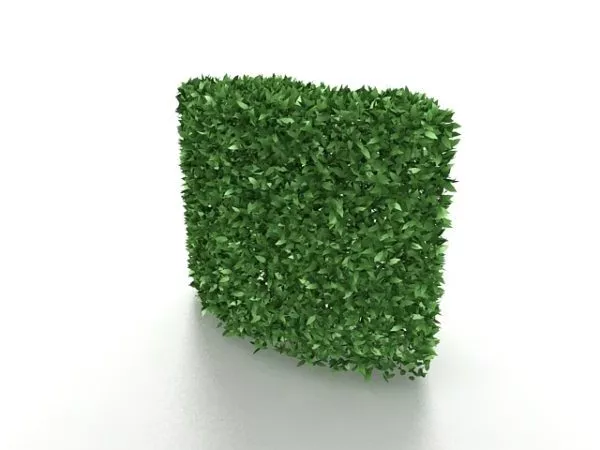 Garden Hedge Set 3d model