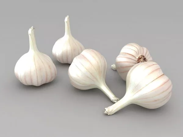Garlic Cloves 3d model Garlic Cloves 3d model