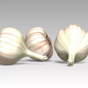 Realistic Garlic Head 3d model