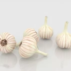 Nature Garlic Bulbs 3d model