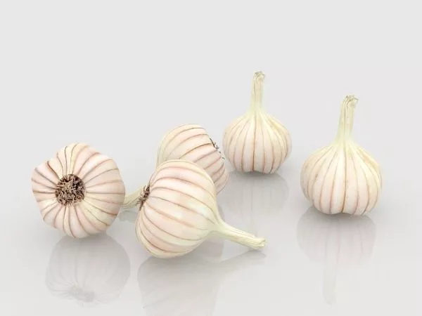 Cabbage Head 3d model