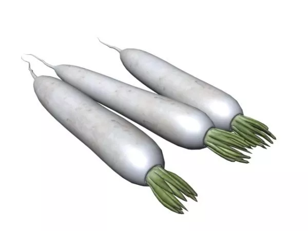 Giant White Radish Vegetable 3d model Giant White Radish Vegetable 3d model