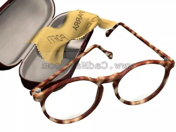 Fashion Glasses With Case 3d model Fashion Glasses With Case 3d model