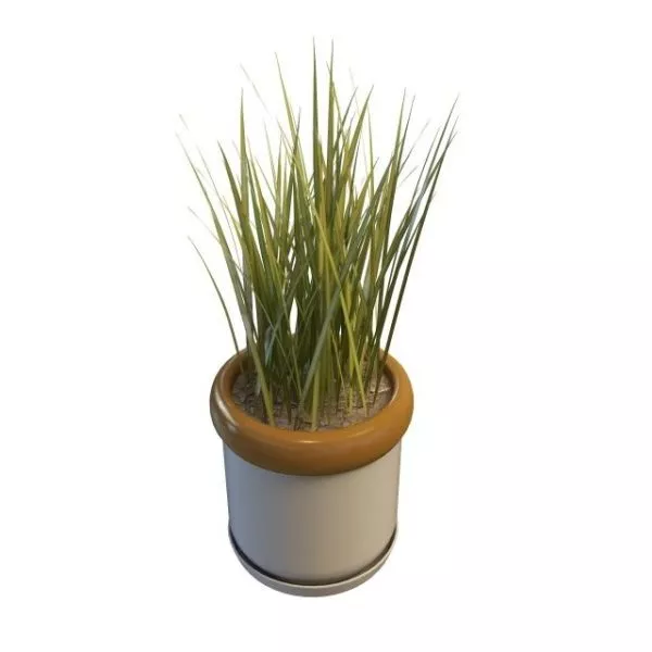 Balcony Grass In Pot 3d model Balcony Grass In Pot 3d model