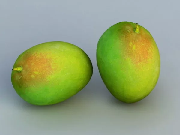 Food Green Mango 3d model Food Green Mango 3d model