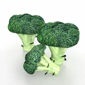 Green Broccoli Vegetable 3d model