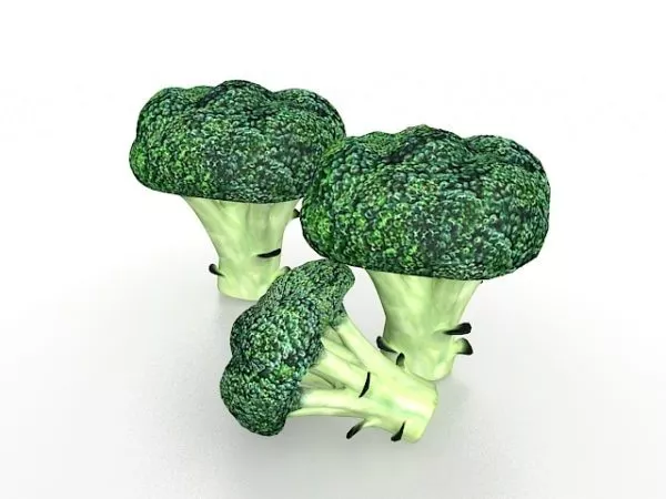 Fresh Broccoli 3d model Fresh Broccoli 3d model