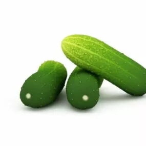 Nature Green Cucumbers 3d model