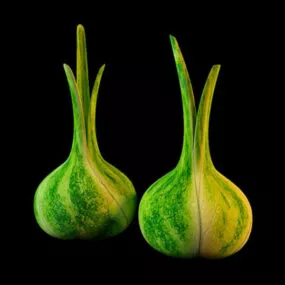 Garlic Shape Of Vase 3d model