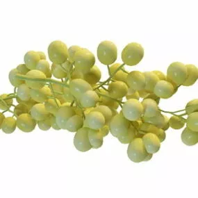 Nature Green Grapes Fruit 3d model