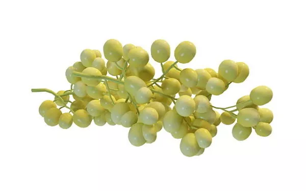 Nature Green Grapes Fruit Free 3d Model - .Max, .Vray - Open3dModel