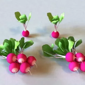 Vegetables Radishes 3d model