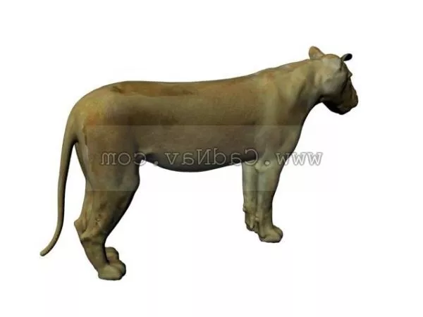 Baby Lion Low Poly 3d model
