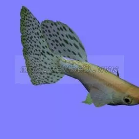 Animal Guppy Blue Grass Fish 3d model