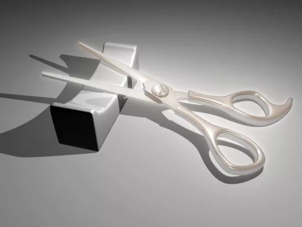 Medical Device Scissors 3d model