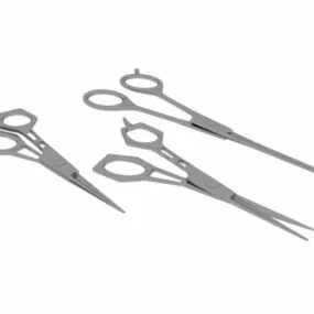 Beauty Salon Hair Cutting & Thinning Scissors 3d model