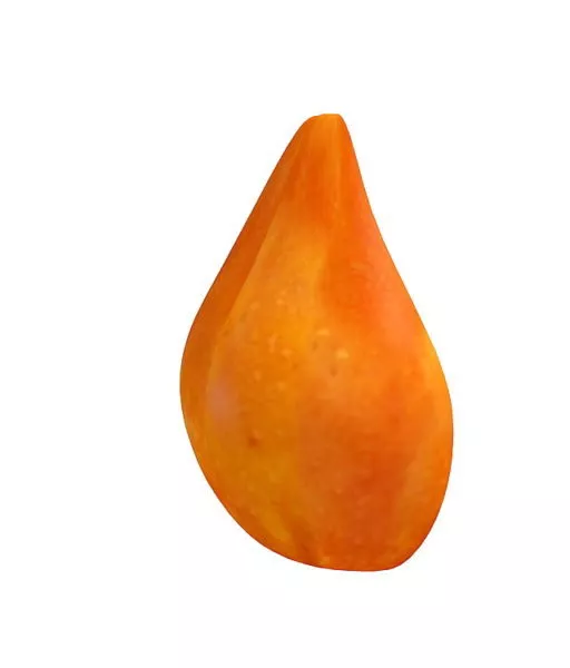 Grapes Fruit Plant With Human 3d model