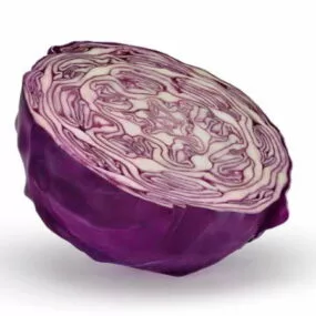 Purple Cabbage Vegetable 3d model
