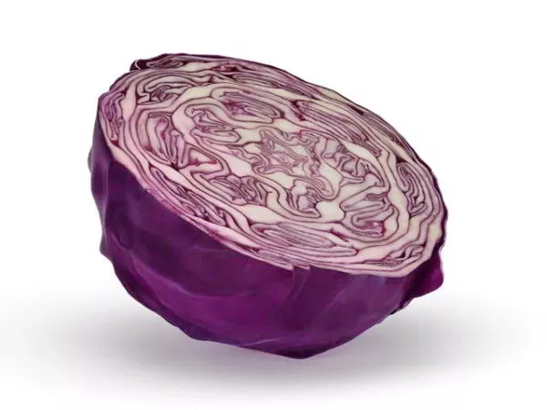 Cabbage Head 3d model