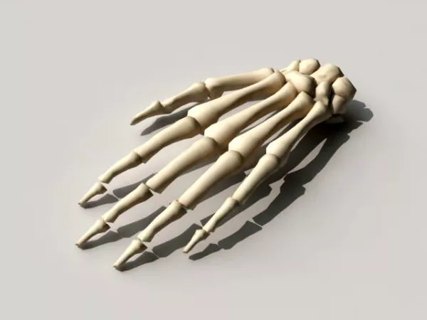 Dna Structure 3d model
