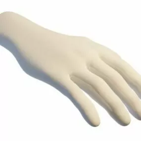 Fashion Store Hand Mannequins 3d model