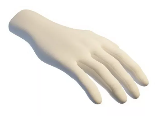 Hand Base Mesh 3d model