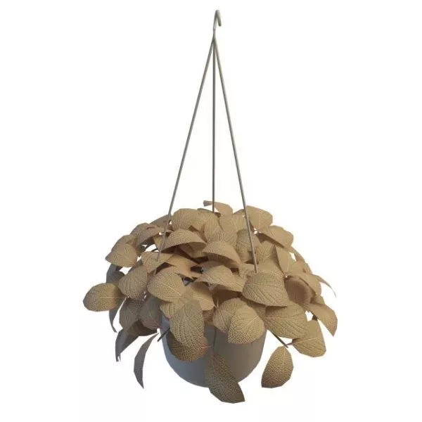 Outdoor Hanging Planter 3d model Outdoor Hanging Planter 3d model