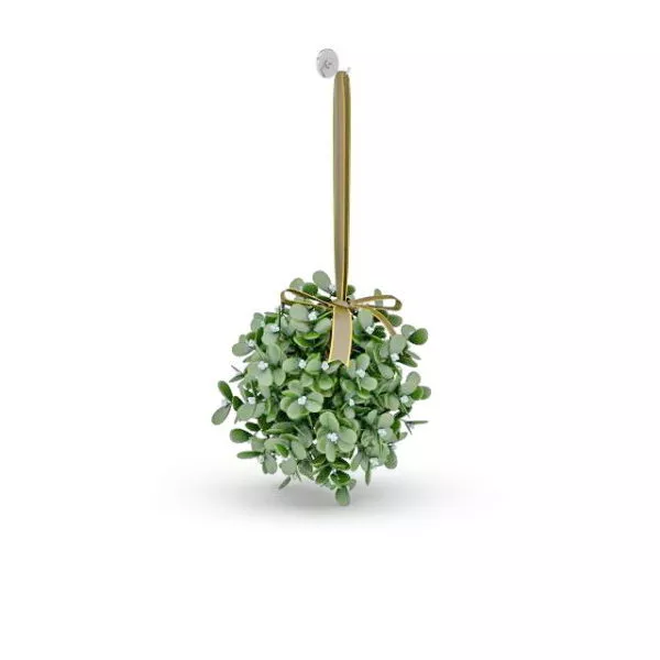 Nature Hanging Succulent Plants 3d model Nature Hanging Succulent Plants 3d model