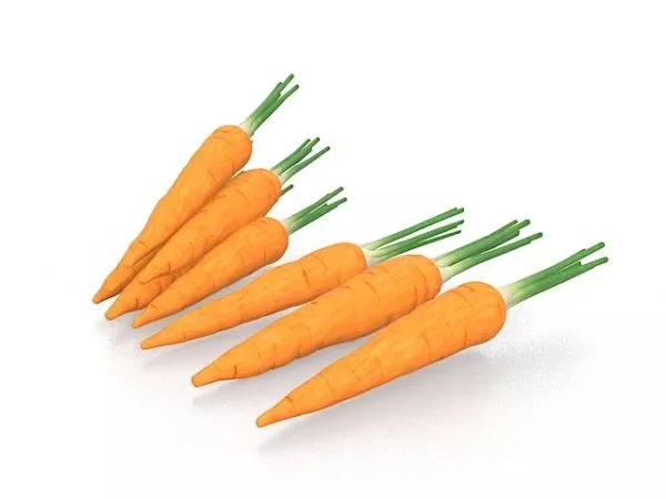 Harvested Carrots Vegetable 3d model Harvested Carrots Vegetable 3d model