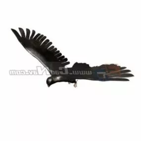 Animal Hawk Eagle 3d model