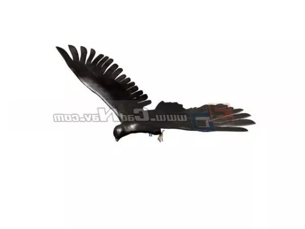 Eagle Rigged 3d model