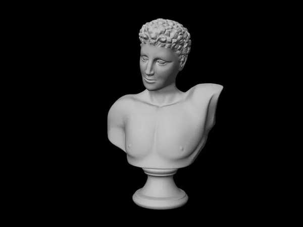 Head Bust Of David Statue 3d model Head Bust Of David Statue 3d model