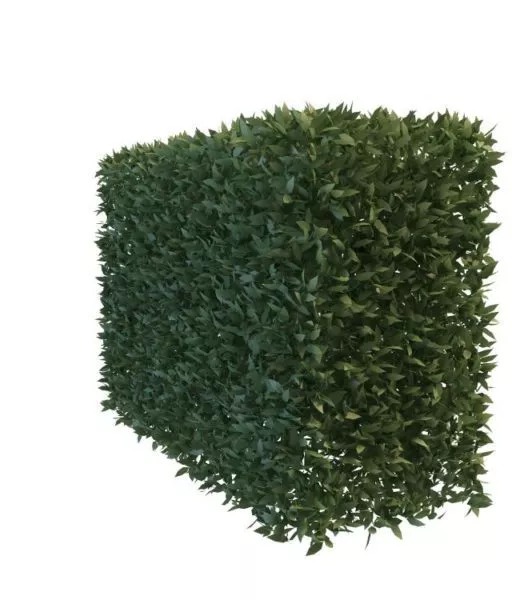French Garden Hedge Module 3d model
